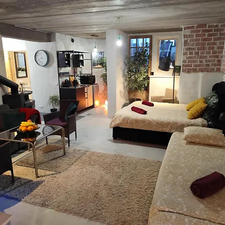Spacious With Sauna And Terrace 公寓 塔林