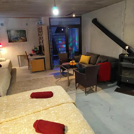 公寓 Spacious With Sauna And Terrace 塔林