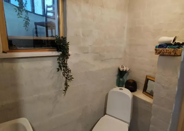 Spacious With Sauna And Terrace Appartement